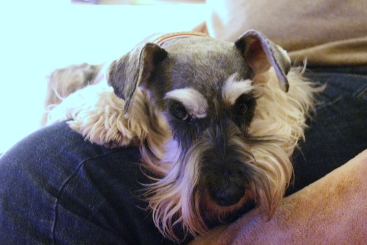c0153740_18501185.jpg