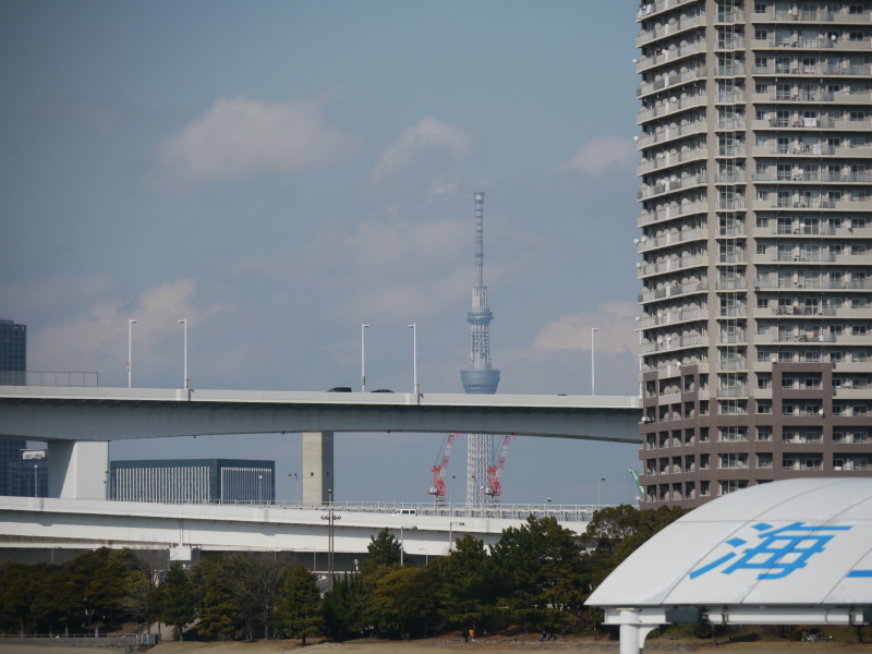 b0190242_2118962.jpg