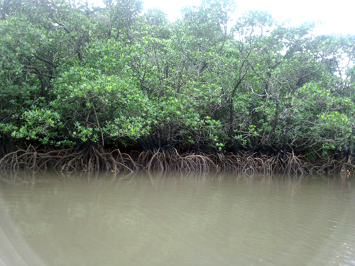 f0014842_15283782.jpg