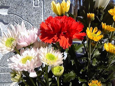 e0019550_20304959.jpg