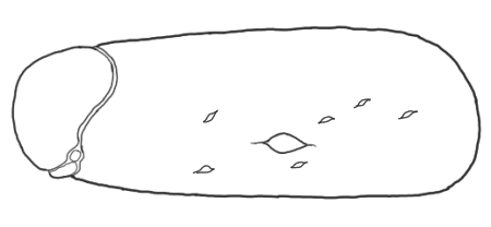 f0223055_62744100.gif