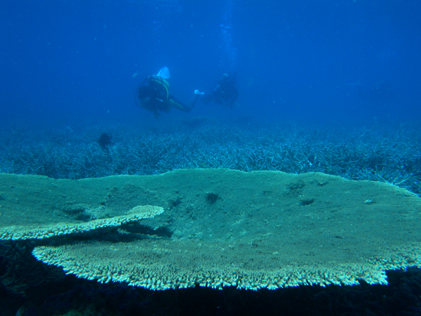 b0062363_1824266.jpg