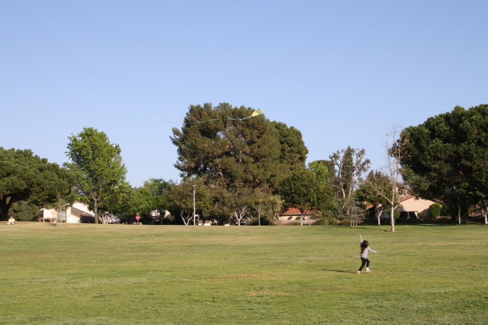 a0232766_14513873.jpg