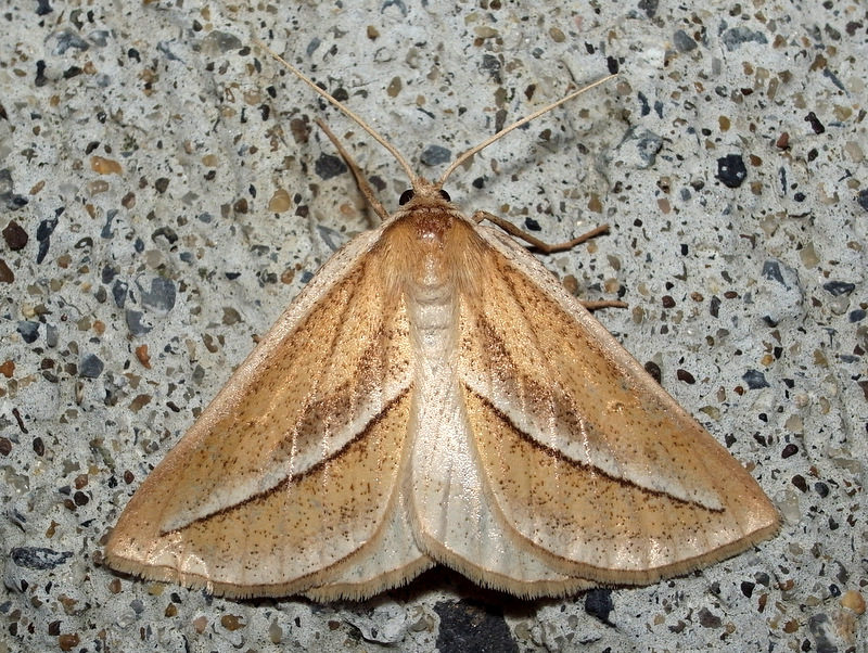 b0130166_2148564.jpg