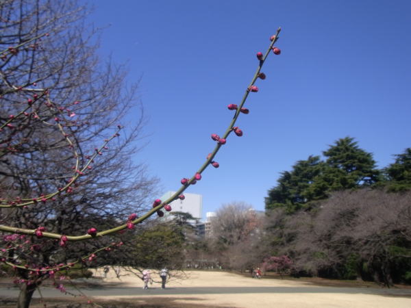 e0153367_9505181.jpg