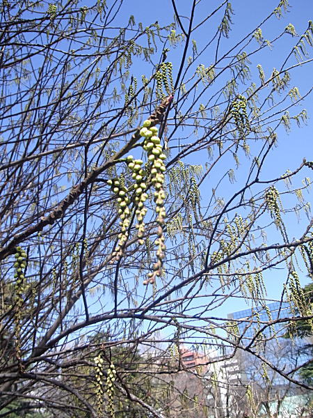 e0153367_9542663.jpg
