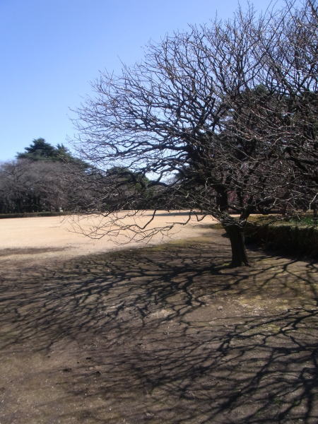 e0153367_95514.jpg