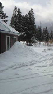 b0063468_849359.jpg