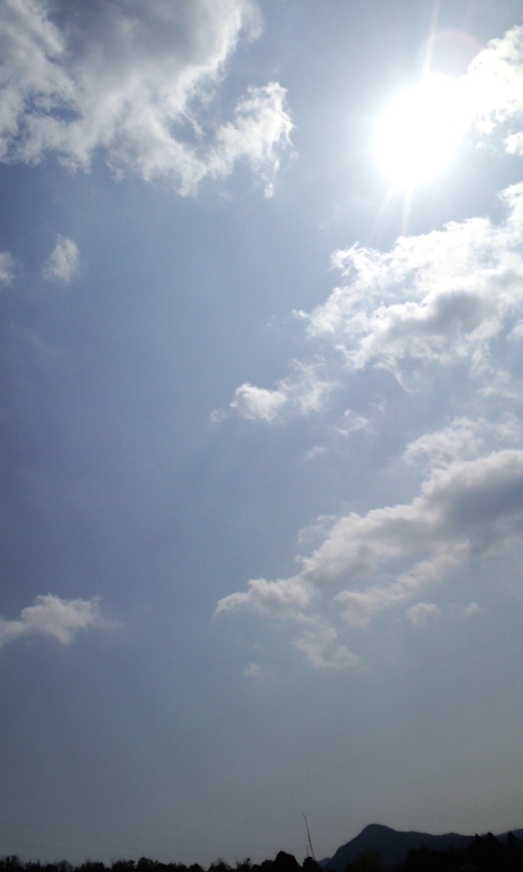 c0228378_1359137.jpg