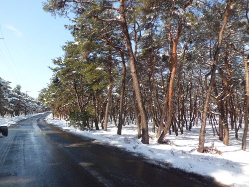c0223879_15571088.jpg