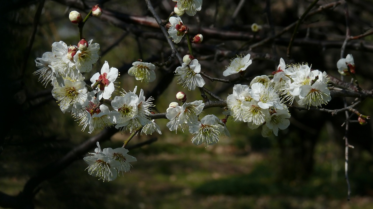 a0185081_19344849.jpg