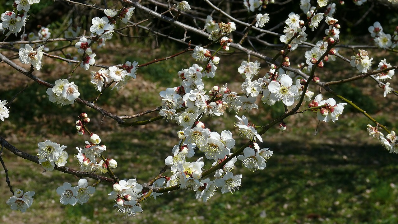 a0185081_1934816.jpg