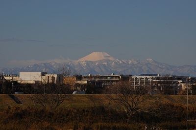 c0145582_2351724.jpg