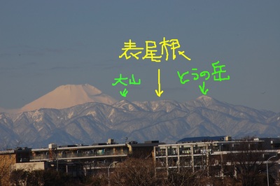 c0145582_2372826.jpg