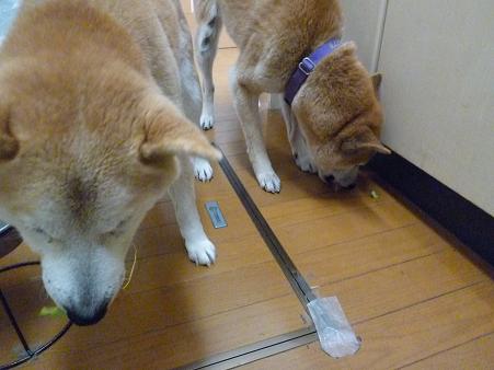 c0123890_20134869.jpg