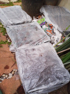f0085291_20155315.jpg
