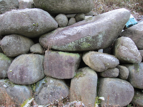 c0100195_14214524.jpg