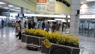 c0187298_23315446.jpg