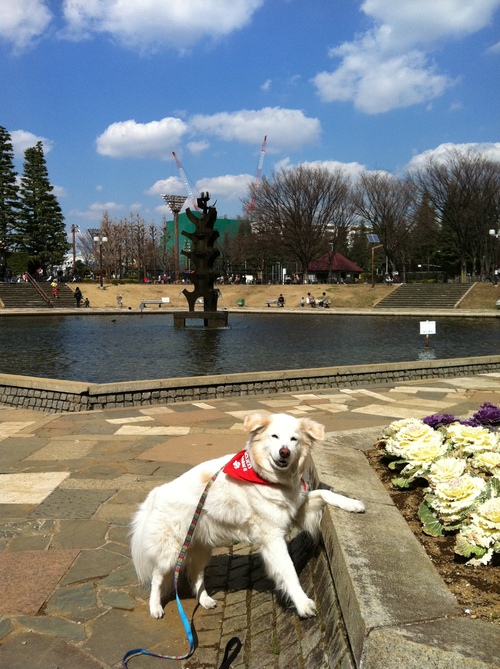 a0032004_16253814.jpg