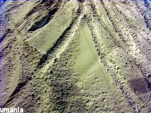 b0061004_1352413.jpg
