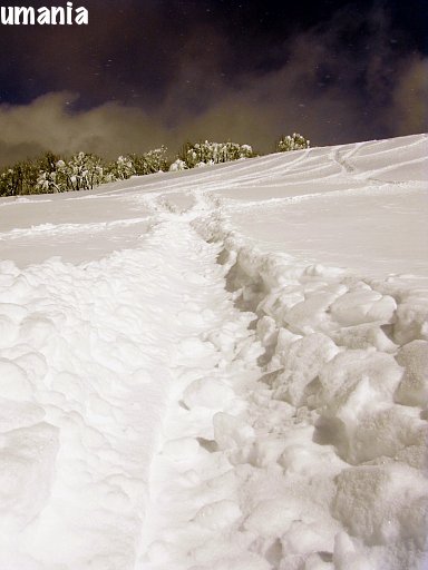b0061004_1353555.jpg
