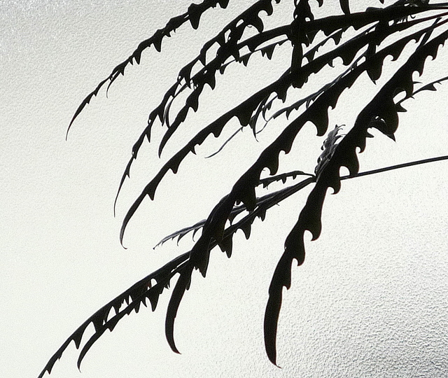 a0214206_2248195.jpg