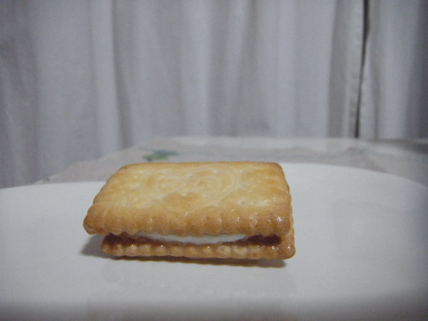 e0203009_13309.jpg