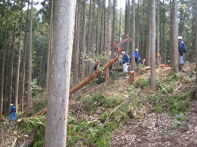 e0002820_1663158.jpg