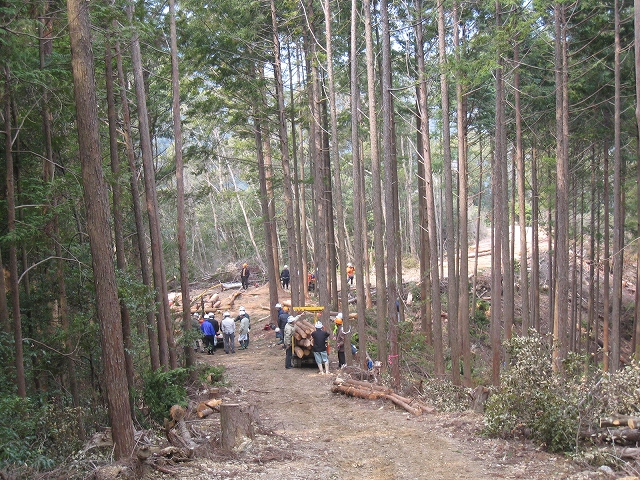 e0002820_1664037.jpg