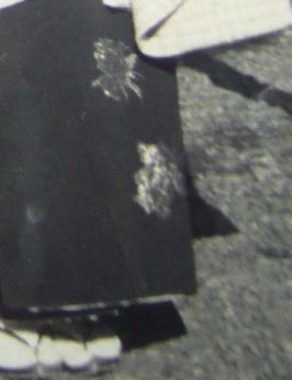 c0013922_1635329.jpg