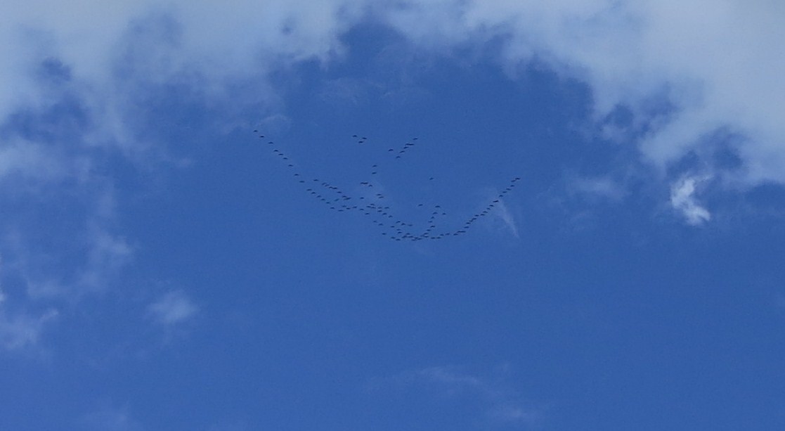 c0112823_018777.jpg