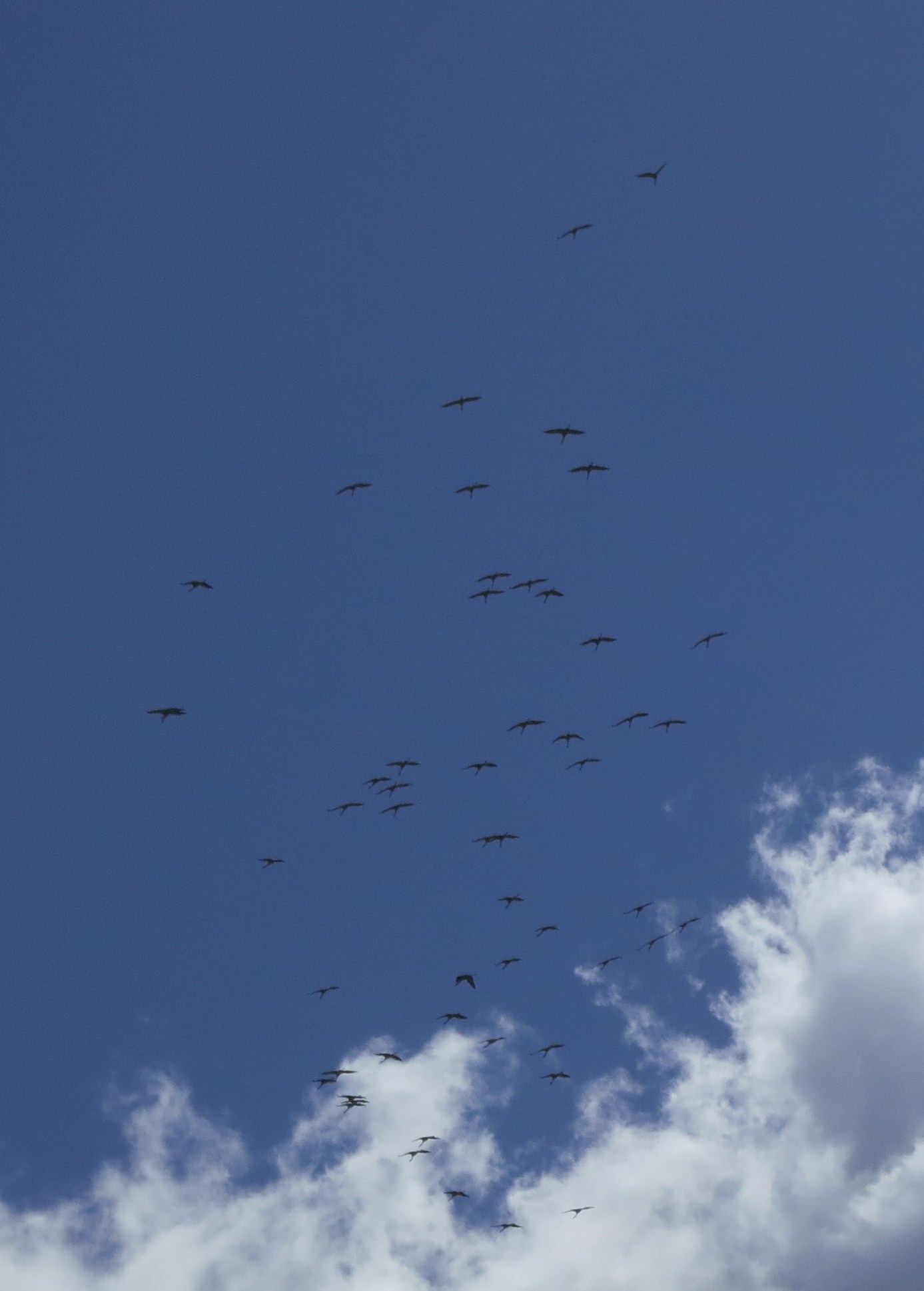c0112823_0195320.jpg