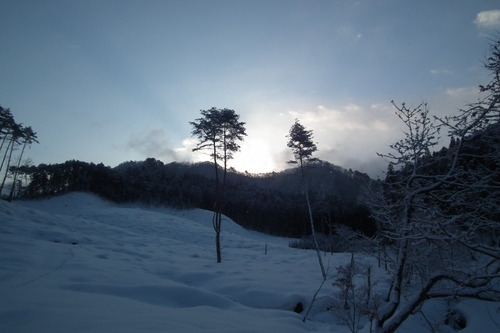 f0118332_23333246.jpg