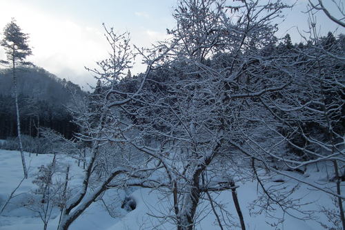 f0118332_23342960.jpg