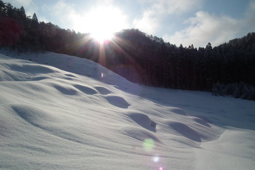 f0118332_23351419.jpg