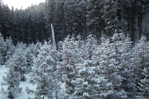 f0118332_23354830.jpg