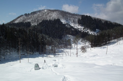 f0118332_2336451.jpg