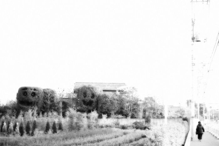 f0162334_8302030.jpg