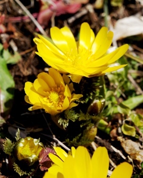 c0204740_2022560.jpg