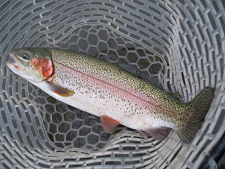 f0065341_10501845.jpg