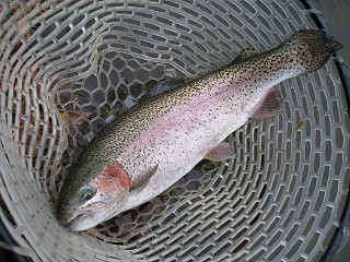 f0065341_10581925.jpg