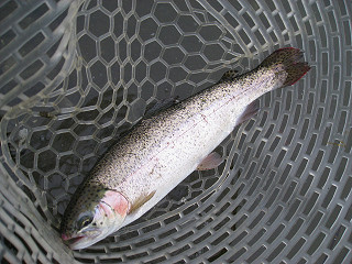 f0065341_10584289.jpg