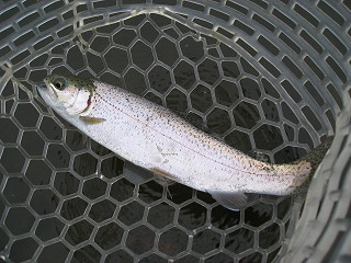 f0065341_10593546.jpg