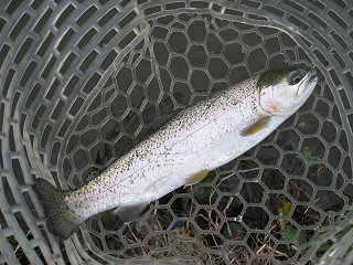 f0065341_10595127.jpg
