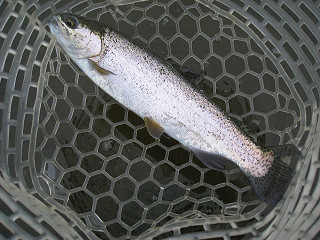 f0065341_1102814.jpg