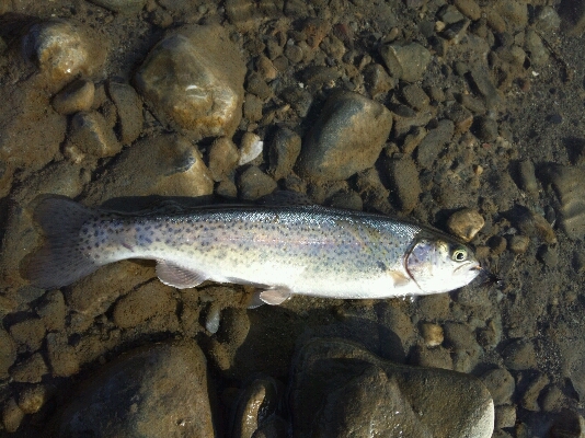 f0168947_21284144.jpg