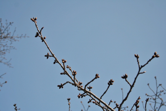 b0248954_7524650.jpg