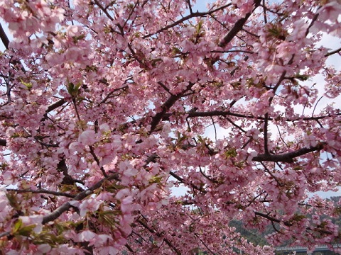 f0046854_22123664.jpg