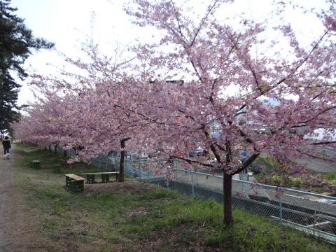 f0046854_22151294.jpg