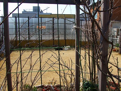 a0104162_18574762.jpg